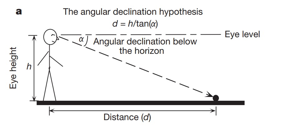 Distance estimation